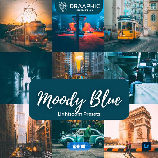 Moody Blue - Presets